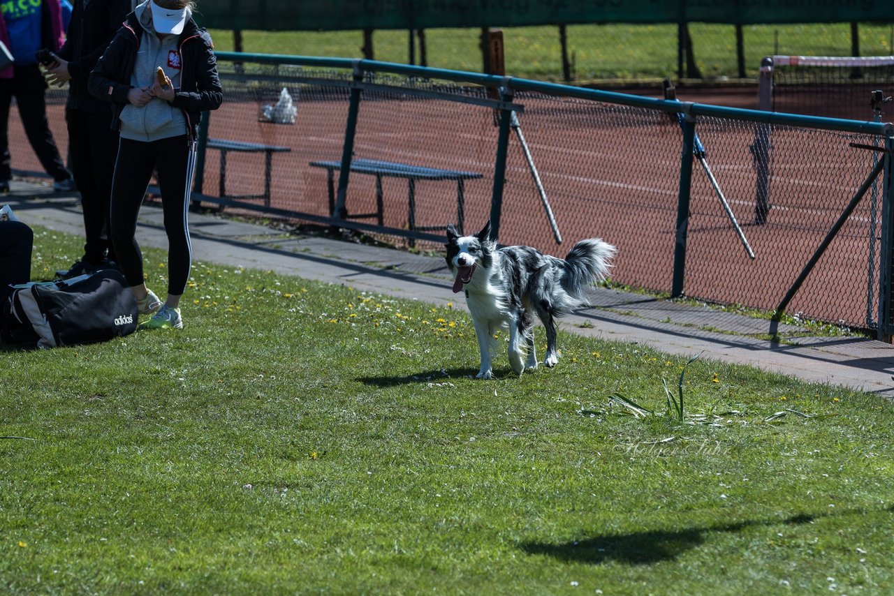 Bild 280 - VL Marienthaler THC - THC von Horn und Hamm
